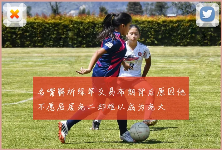 名嘴解析绿军交易布朗背后原因他不愿屈居老二却难以成为老大