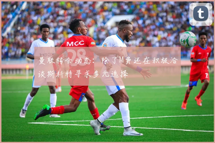 曼联转会动态：除了M费还在积极洽谈斯科特寻求多元选择
