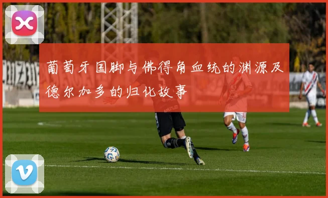 葡萄牙国脚与佛得角血统的渊源及德尔加多的归化故事
